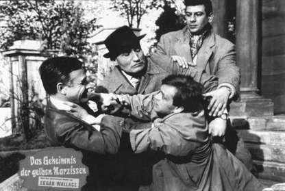 DAS GEHEIMNIS DER GELBEN NARZISSEN